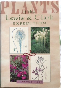 Plants phillips
