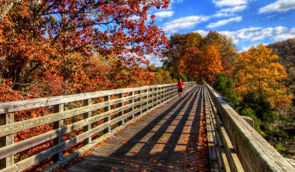 Va creeper trail bridge