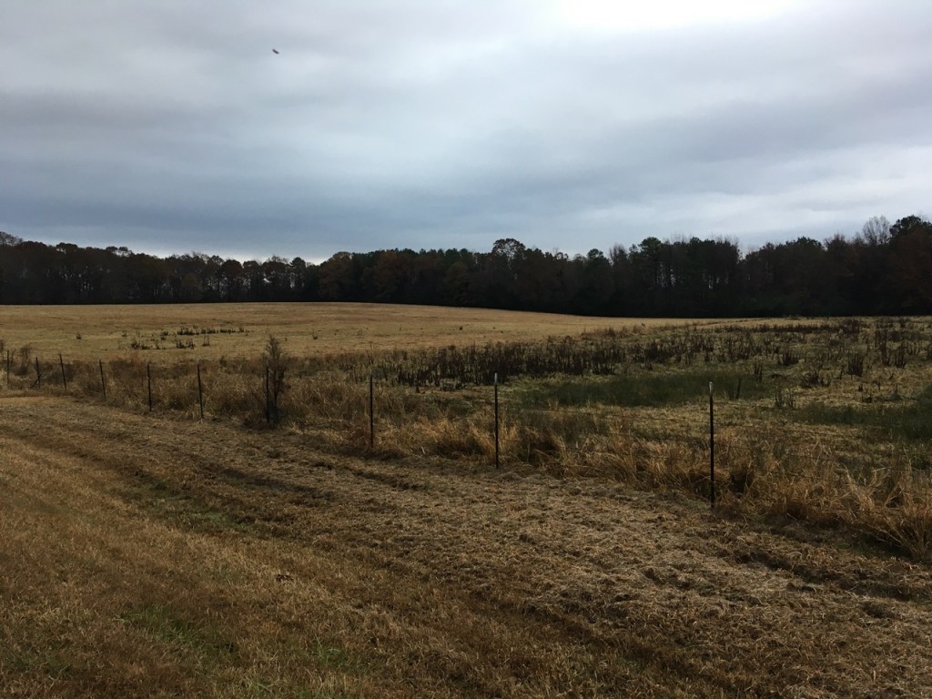 Rolling field