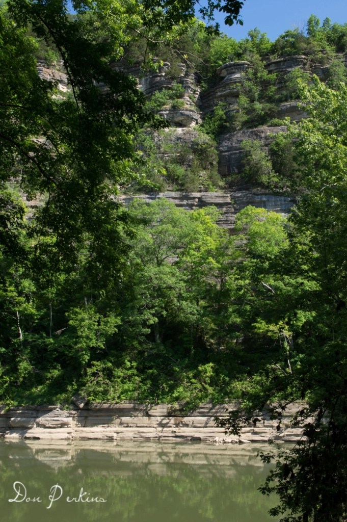 Tom dorman palisade