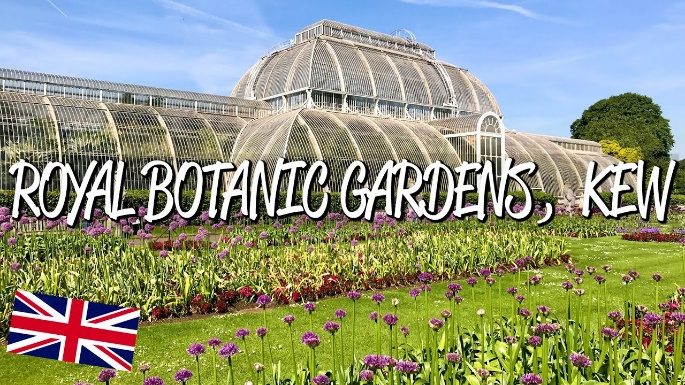 Call: 020 8332 565, Email: info@kew.org