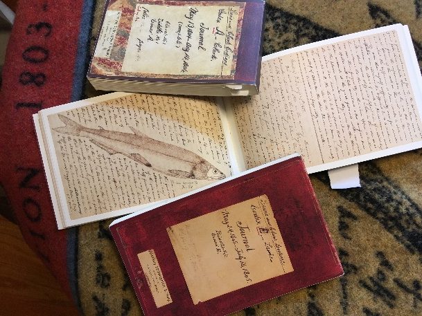 Example of Inventoried Lewis Possession (picture 1 of 7)