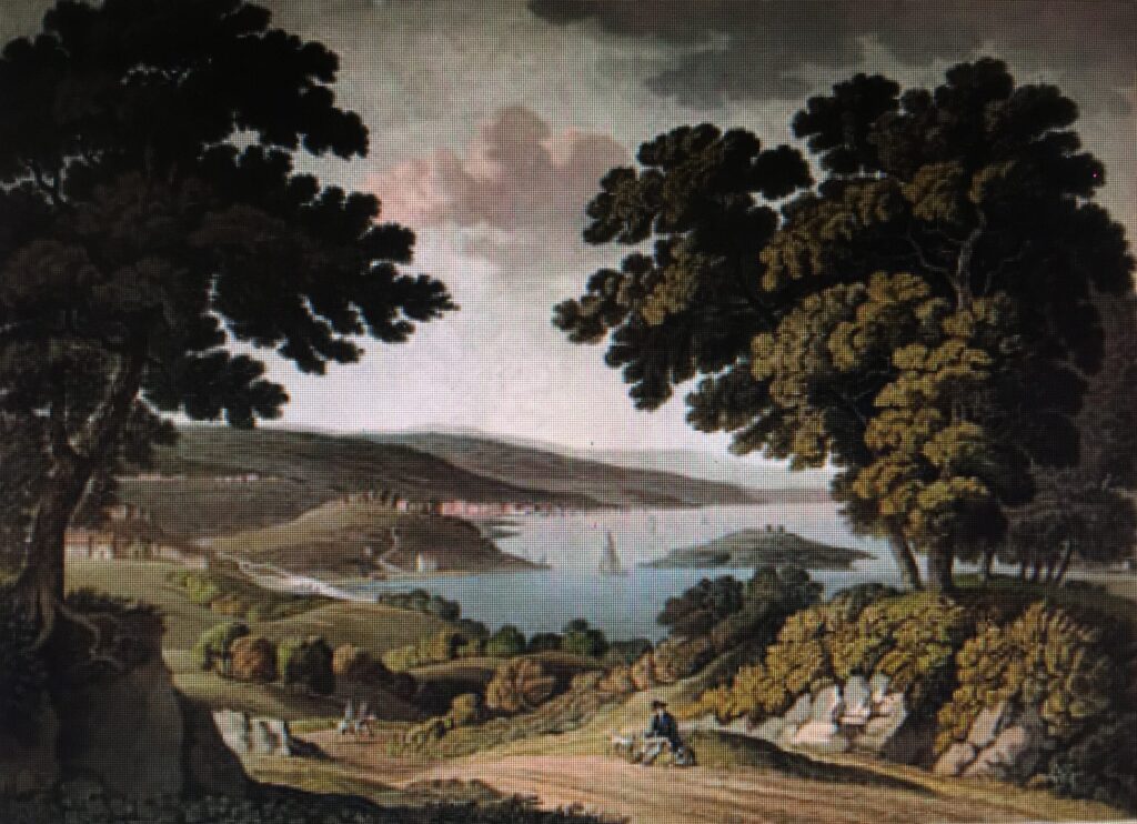 Thomas Cartwright, G. Beck. I. N. Pheleps Stokes Collection
