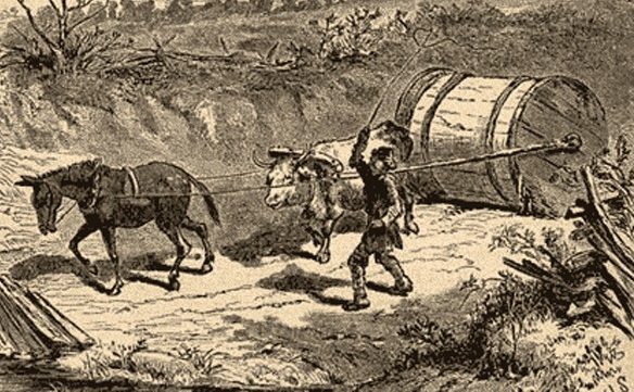 Tobacco Hogshead Transported to Market