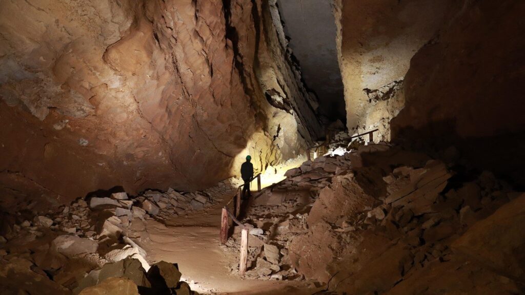 Mammoth Cave National Park