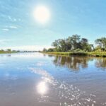 The Jefferson River near Three Forks Junction, Montana, seen from the water on a sunny morning